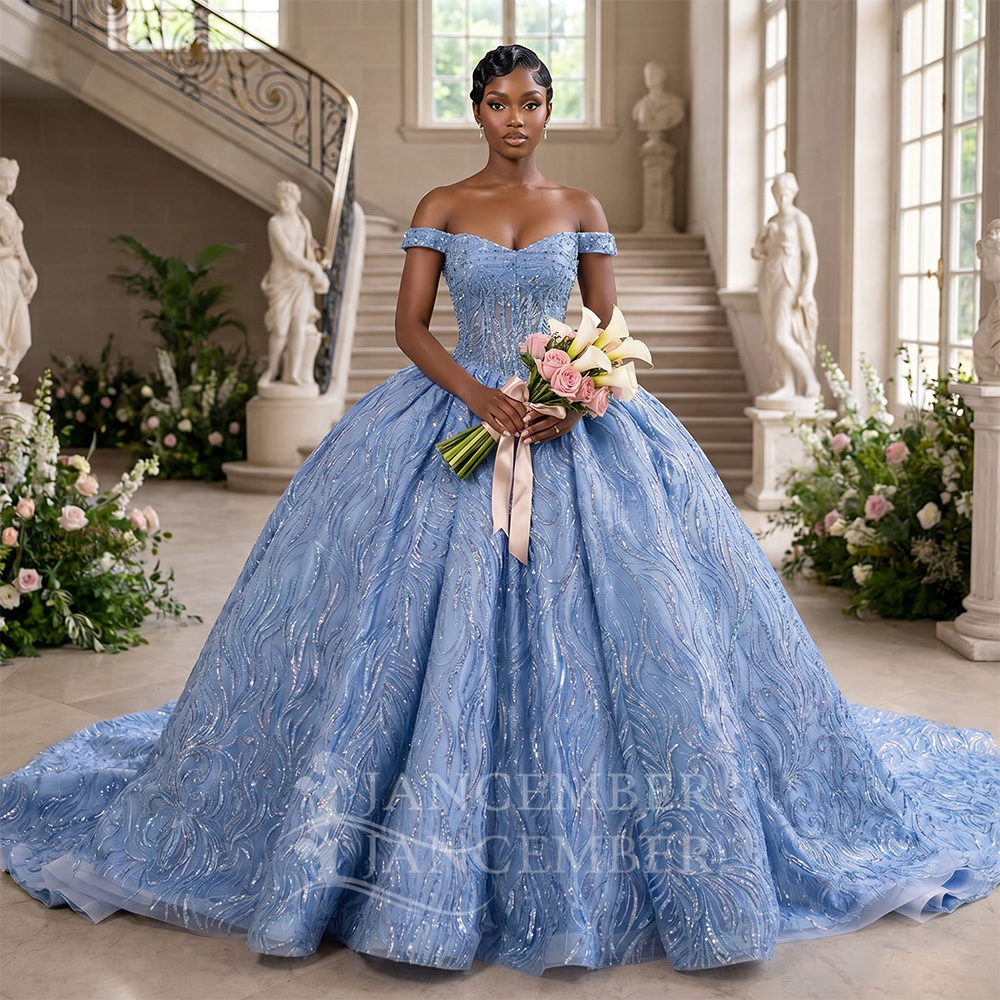 Maßgeschneidertes blaues Quinc – Embroidery Organza Bewertung und Preis
